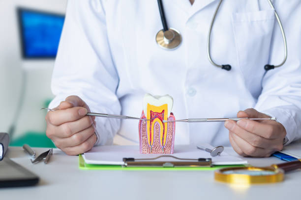 Best Emergency Tooth Extraction in Ohioville, PA